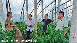 Water soluble fertilizer, base Liang boss look soil chef