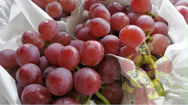 monopotassium phosphate-Tu chef grapes