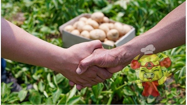 Water-soluble fertilizer-Local chef collaboration