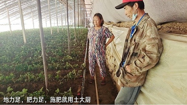 What fertilizer does strawberry bloom with-Local chef service