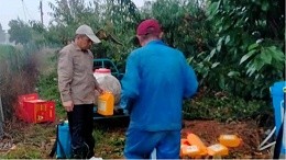 Water soluble fertilizer, farmers say good is really good