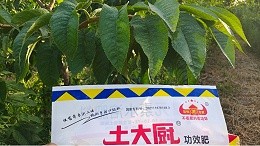 Imported water-soluble fertilizer, big sister Huang said this one is not to be missed