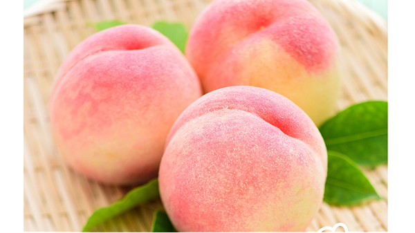 What kind of fertilizer do peach trees need