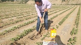 Water soluble fertilizer price how much a ton? Quality determination