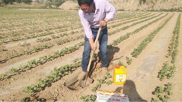 Water soluble fertilizer price-Native chef user